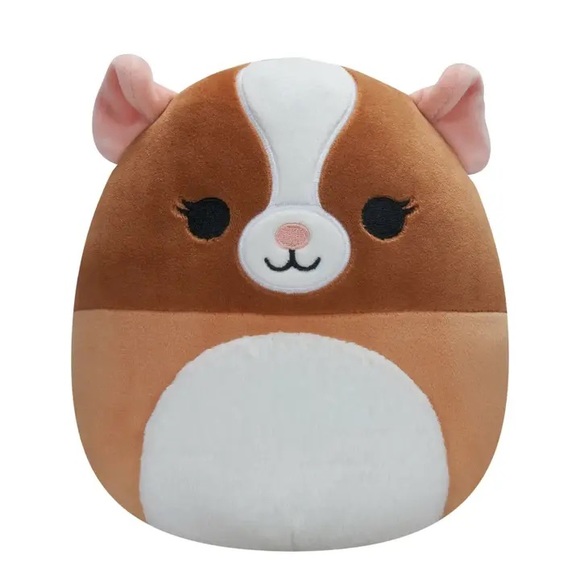 12” Tall 💋 New Kelly Toy Squishmallow Garett the Guinea Pig, Brown and White - Picture 3 of 7